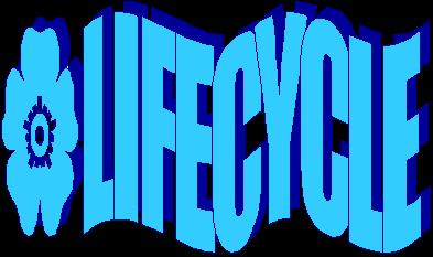 Enter my Lifecycle page.